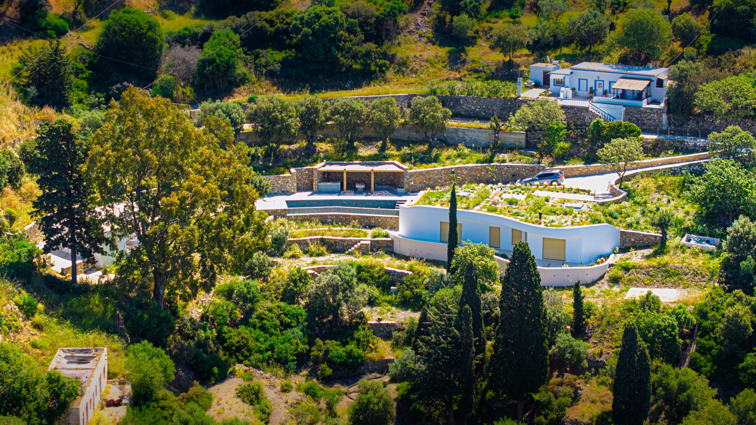 Modern house surrounded by lush greenery